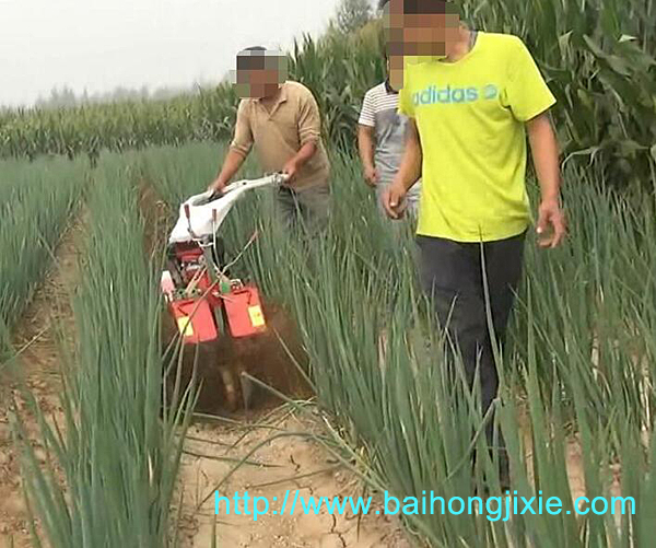 开沟XVDEVIOS官方苹果版在大葱地中的应用